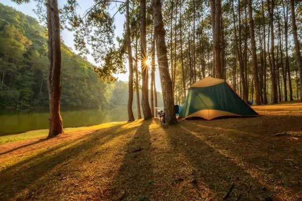 Village Camping contacts